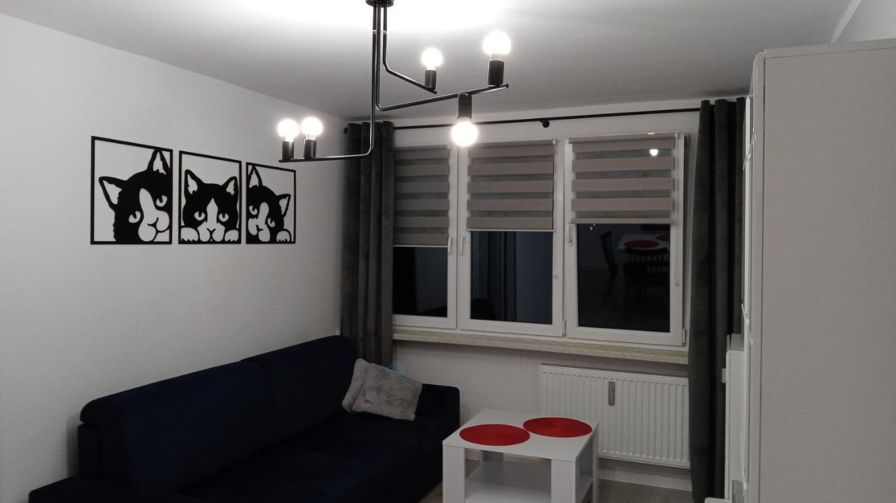 Apartament Jakubek Полковице Экстерьер фото